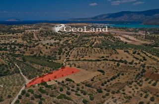 Αγροτεμάχια 4.521 τ.μ. προς πώληση, Άγιος Νικόλαος Κρανιδίου-thumb-1