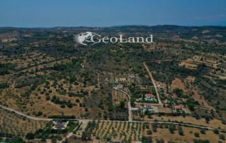 Αγροτεμάχια 7.867 τ.μ. για πώληση
