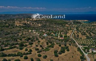 Αγροτεμάχια 7.867 τ.μ. πρός πώληση, Αργολίδα, Κρανίδι-thumb-6