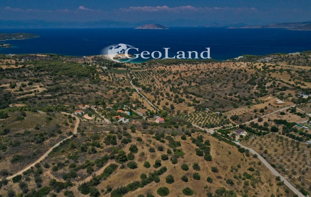 Αγροτεμάχια 7.867 τ.μ. πρός πώληση, Αργολίδα, Κρανίδι