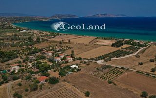 Αγροτεμάχια 1.025 τ.μ. για πώληση