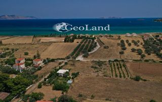 Αγροτεμάχια 1.025 τ.μ. πρός πώληση, Αργολίδα, Κρανίδι-thumb-10