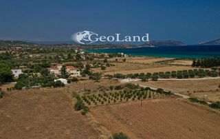 Αγροτεμάχια 1.025 τ.μ. πρός πώληση, Αργολίδα, Κρανίδι-thumb-3