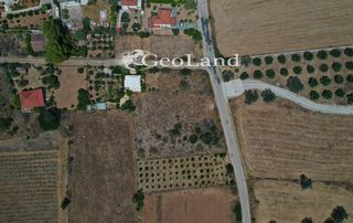 Αγροτεμάχια 1.025 τ.μ. πρός πώληση, Αργολίδα, Κρανίδι-thumb-1