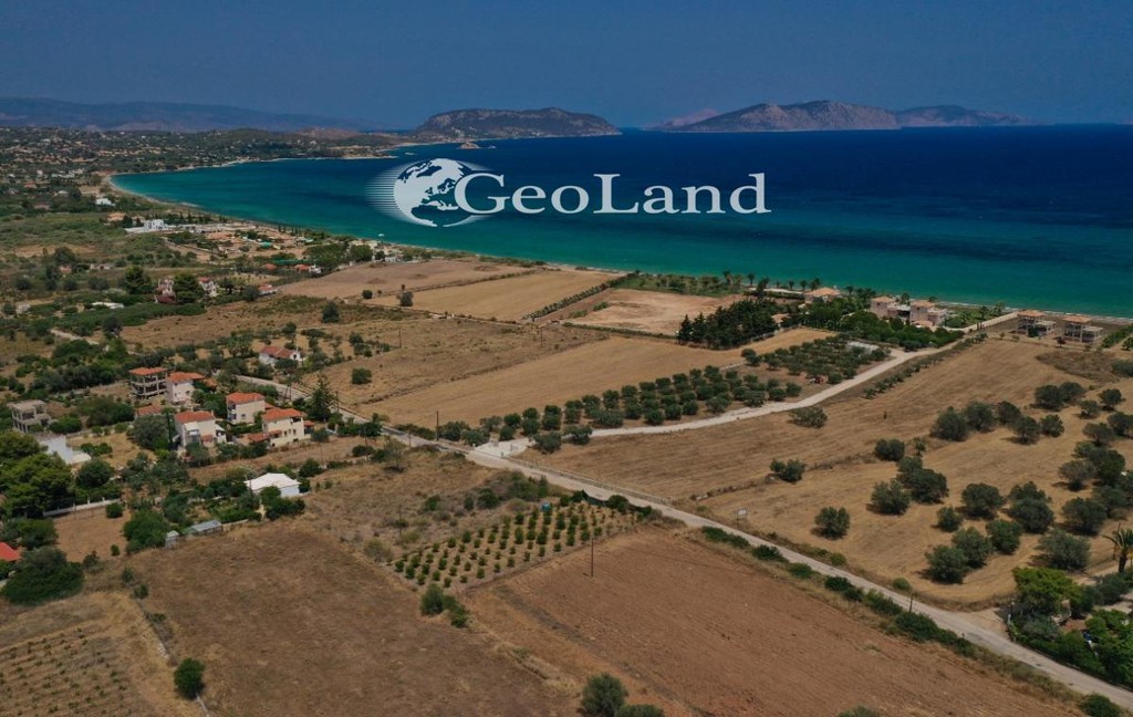 Αγροτεμάχια 1.025 τ.μ. πρός πώληση, Αργολίδα, Κρανίδι