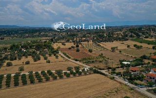Αγροτεμάχια 1.025 τ.μ. πρός πώληση, Αργολίδα, Κρανίδι-thumb-13