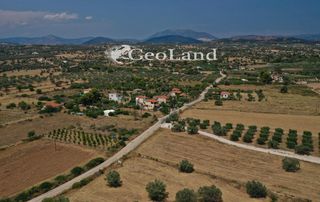Αγροτεμάχια 1.025 τ.μ. πρός πώληση, Αργολίδα, Κρανίδι-thumb-8