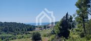 Αγροτεμάχια 4.250τ.μ. για πώληση-Κασσάνδρα » Κασσανδρηνό