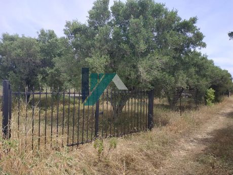 Parcel 500sqm for sale-Moudania » Nea Potidaia