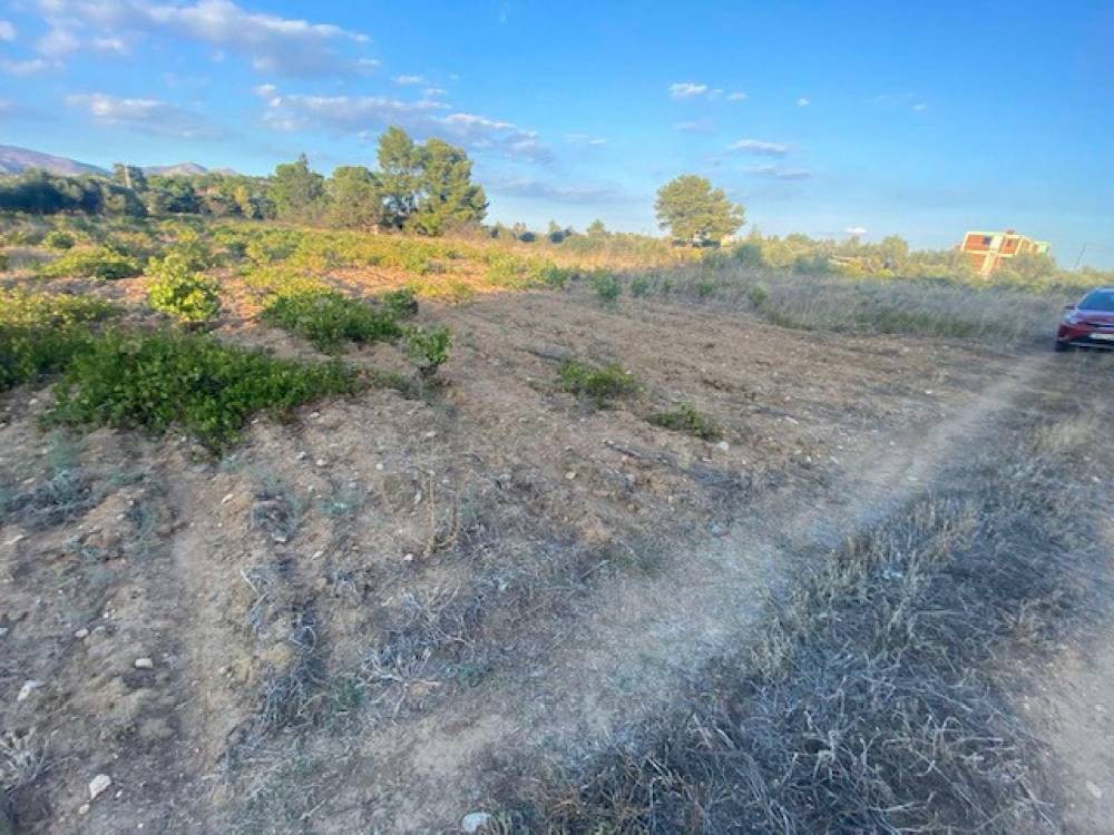 Αγροτεμάχια 1.700 τ.μ. πρός πώληση, Αθήνα - Ανατολικά Προάστια, Σπάτα