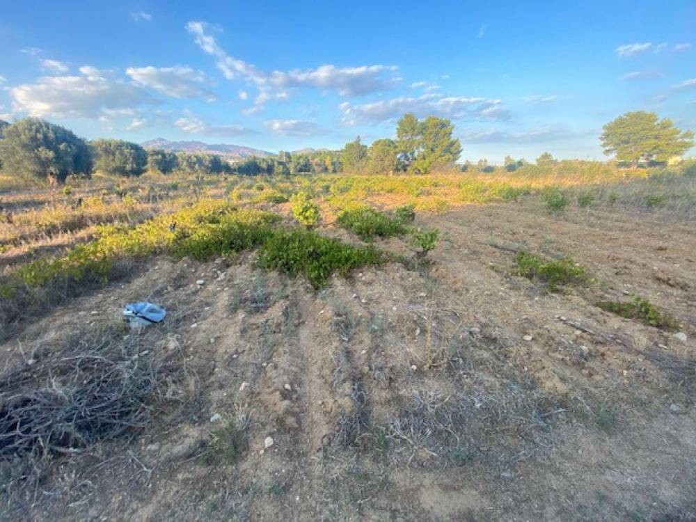 Αγροτεμάχια 1.700 τ.μ. πρός πώληση, Αθήνα - Ανατολικά Προάστια, Σπάτα
