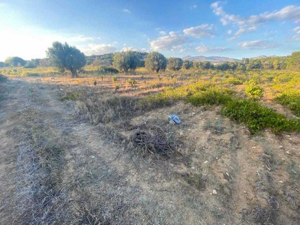 Αγροτεμάχια 1.700 τ.μ. πρός πώληση, Αθήνα - Ανατολικά Προάστια, Σπάτα