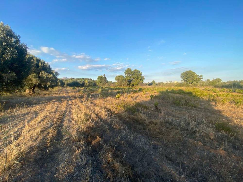Αγροτεμάχια 1.700 τ.μ. πρός πώληση, Αθήνα - Ανατολικά Προάστια, Σπάτα