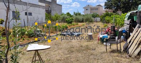 Οικόπεδο 900τ.μ. για πώληση-Αλεξανδρούπολη » Νέα χιλή