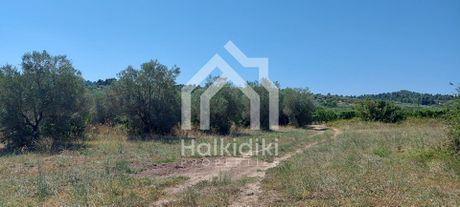 Αγροτεμάχια 3.000τ.μ. για πώληση-Κασσάνδρα » Κασσανδρηνό