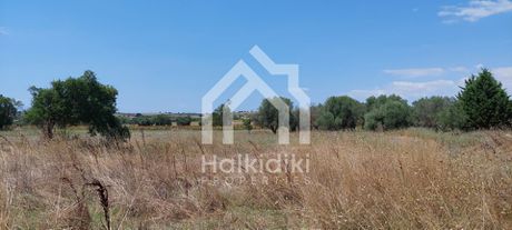 Αγροτεμάχια 3.100τ.μ. για πώληση-Κασσάνδρα » Κασσανδρηνό