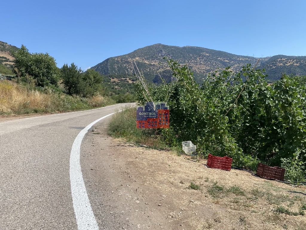 Οικόπεδο 1.500 τ.μ. προς πώληση, Αχαΐα, Καλάβρυτα