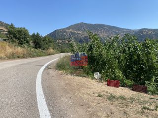 Οικόπεδο 1.500 τ.μ. προς πώληση, Πλατανιώτισσα-thumb-2
