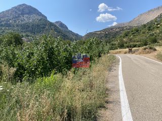 Οικόπεδο 1.500 τ.μ. προς πώληση, Πλατανιώτισσα-thumb-5