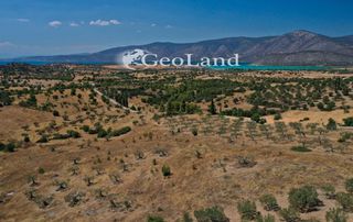 Αγροτεμάχια 37.401 τ.μ. πρός πώληση, Αργολίδα, Κρανίδι-thumb-6