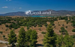 Αγροτεμάχια 37.401 τ.μ. πρός πώληση, Αργολίδα, Κρανίδι-thumb-9
