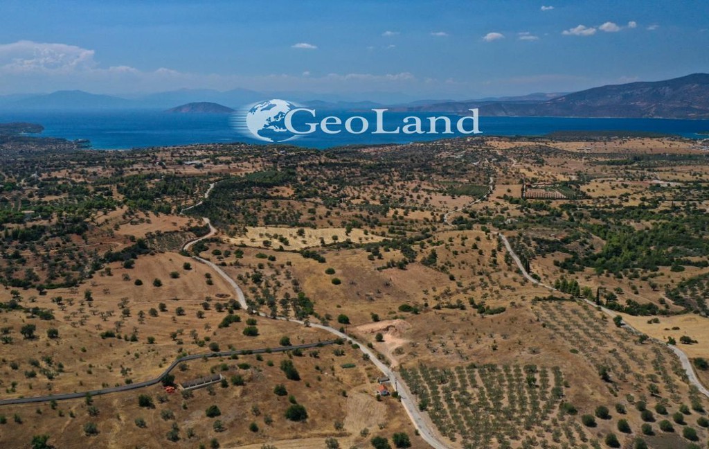 Αγροτεμάχια 37.401 τ.μ. πρός πώληση, Αργολίδα, Κρανίδι