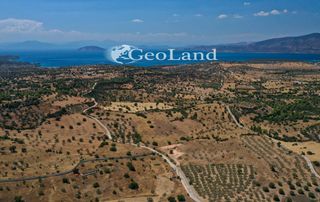 Αγροτεμάχια 37.401 τ.μ. πρός πώληση, Αργολίδα, Κρανίδι-thumb-4