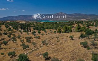 Αγροτεμάχια 37.401 τ.μ. πρός πώληση, Αργολίδα, Κρανίδι-thumb-5