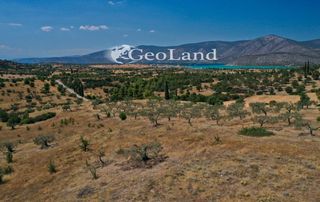 Αγροτεμάχια 37.401 τ.μ. πρός πώληση, Αργολίδα, Κρανίδι-thumb-8