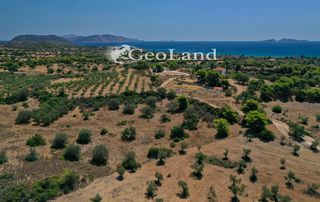 Αγροτεμάχια 2.003 τ.μ. για πώληση, Αργολίδα, Κρανίδι-thumb-11