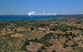 Αγροτεμάχια 2.003 τ.μ. για πώληση, Αργολίδα, Κρανίδι-thumb-7