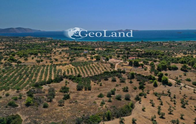 Αγροτεμάχια 2.003 τ.μ. για πώληση, Αργολίδα, Κρανίδι