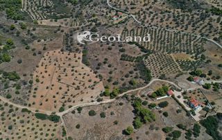 Αγροτεμάχια 2.003 τ.μ. για πώληση, Αργολίδα, Κρανίδι-thumb-8