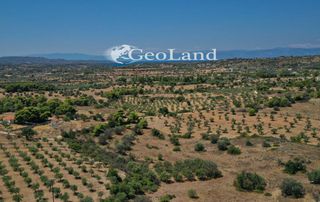 Αγροτεμάχια 2.003 τ.μ. για πώληση, Αργολίδα, Κρανίδι-thumb-5