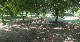 Οικόπεδο 539 τ.μ. για πώληση, Αχαΐα, Βραχναίικα-thumb-26