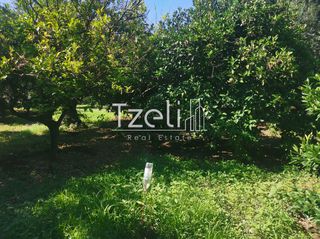 Οικόπεδο 539 τ.μ. για πώληση, Αχαΐα, Βραχναίικα-thumb-12