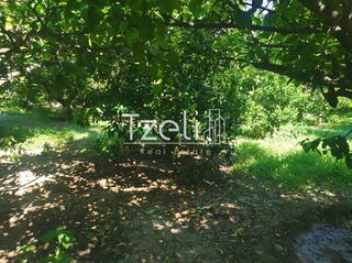 Οικόπεδο 539 τ.μ. για πώληση, Αχαΐα, Βραχναίικα-thumb-21