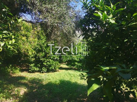 Land plot 539 sqm for sale