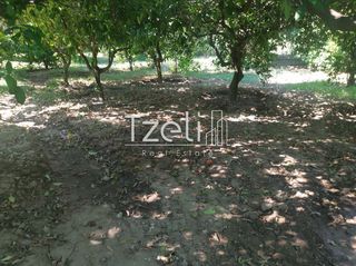 Οικόπεδο 539 τ.μ. για πώληση, Αχαΐα, Βραχναίικα-thumb-1