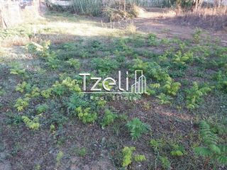 Οικόπεδο 330 τ.μ. για πώληση, Αχαΐα, Πάτρα-thumb-29