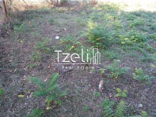 Οικόπεδο 330 τ.μ. για πώληση, Αχαΐα, Πάτρα-thumb-15