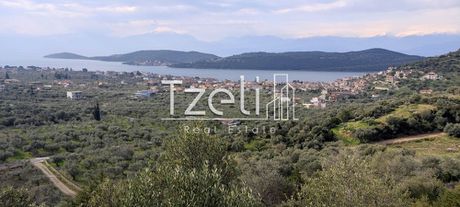 Αγροτεμάχια 13.000τ.μ. για πώληση-Τολοφώνα » Γλυφάδα