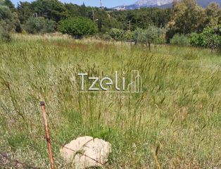 Οικόπεδο 400 τ.μ. για πώληση, Αχαΐα, Πάτρα-thumb-14