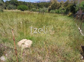 Οικόπεδο 400 τ.μ. για πώληση, Αχαΐα, Πάτρα-thumb-24