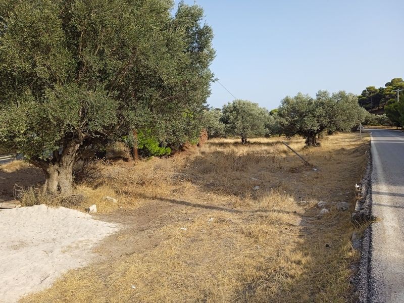 Οικόπεδο 6.138 τ.μ. πρός πώληση, Αττική - Υπόλοιπο, Κερατέα