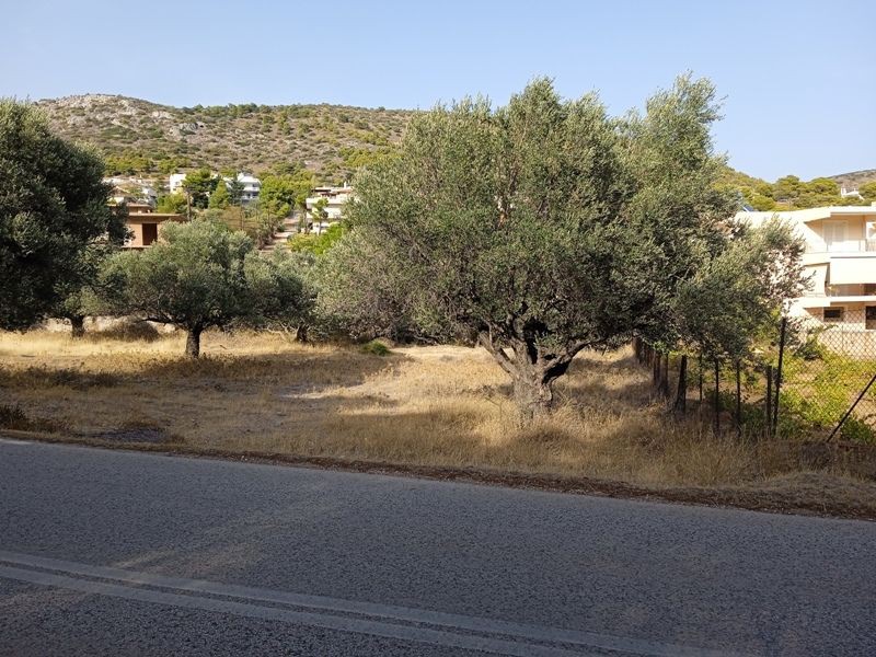 Οικόπεδο 6.138 τ.μ. πρός πώληση, Αττική - Υπόλοιπο, Κερατέα
