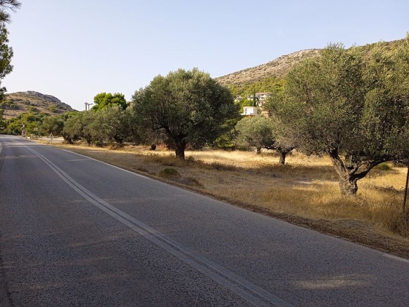 Οικόπεδο 6.138 τ.μ. πρός πώληση, Αττική - Υπόλοιπο, Κερατέα