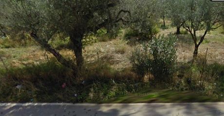 Land plot 500 sqm for sale