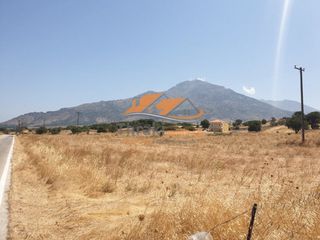 Αγροτεμάχια 10.600 τ.μ. πρός πώληση, Εβρος, Σαμοθράκη-thumb-3