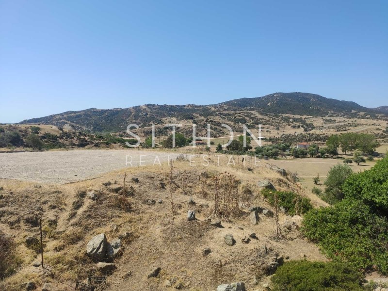 Οικόπεδο 500 τ.μ. προς πώληση, Σκάλα Συκέας